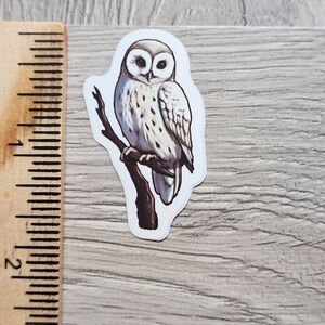 10/$10 Owl Sticker Bird Hoot Owlet Colorful Cartoon